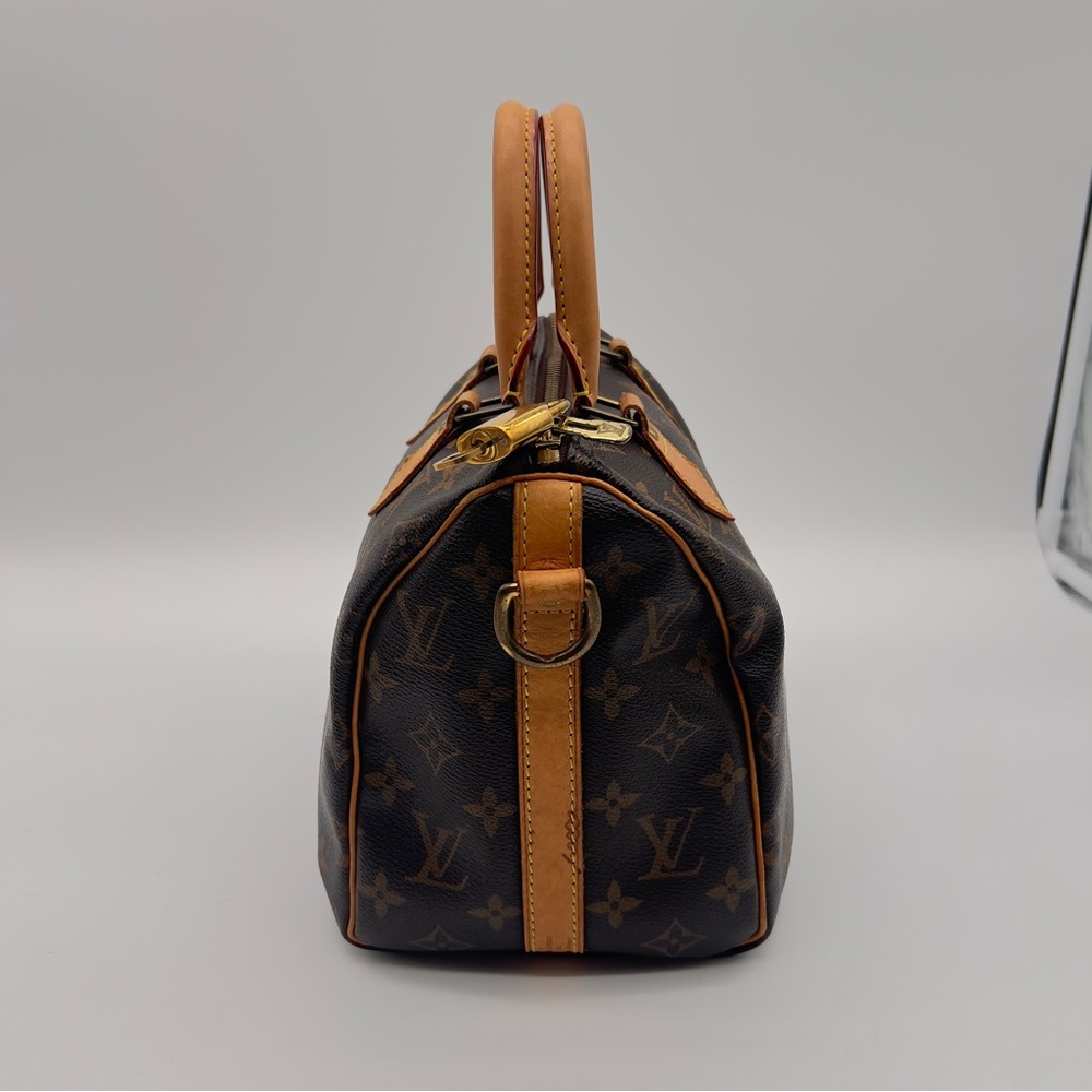 Louis Vuitton Brown and Tan Crossbody Bag - Picture 6 of 13